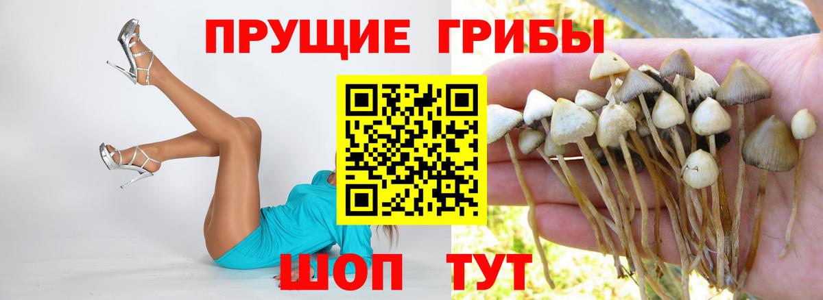 Псилоцибиновые грибы Cubensis  Вход с VPN  Галлюциногенные грибы Psilocybine cubensis  цена наркотик  Сызрань 